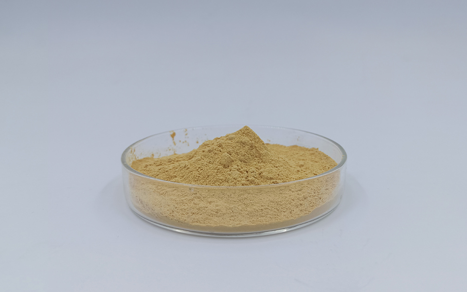 石膏緩凝劑在建筑石膏抹灰工程中的應用優勢